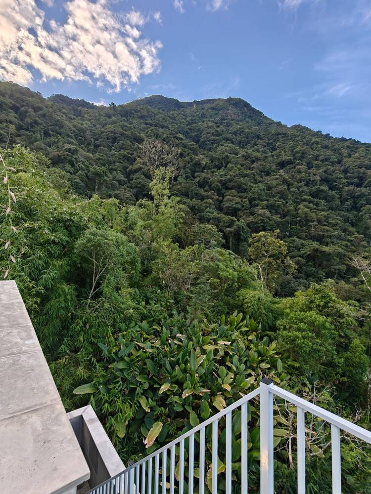 Vista próxima da mata fechada e da montanha, vista da varanda da casa.